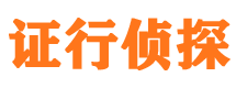 城子河市私家侦探